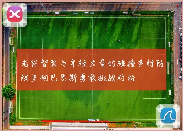 老将智慧与年轻力量的碰撞多特防线坚韧巴恩斯勇敢挑战对抗