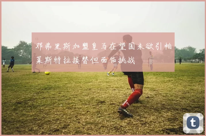 邓弗里斯加盟皇马在望国米欲引帕莱斯特拉接替但面临挑战